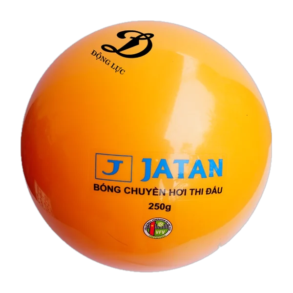 Bóng chuyền hơi Động Lực Jatan