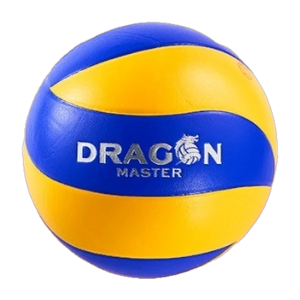 Bóng chuyền tập luyện Dragon Master Series 2